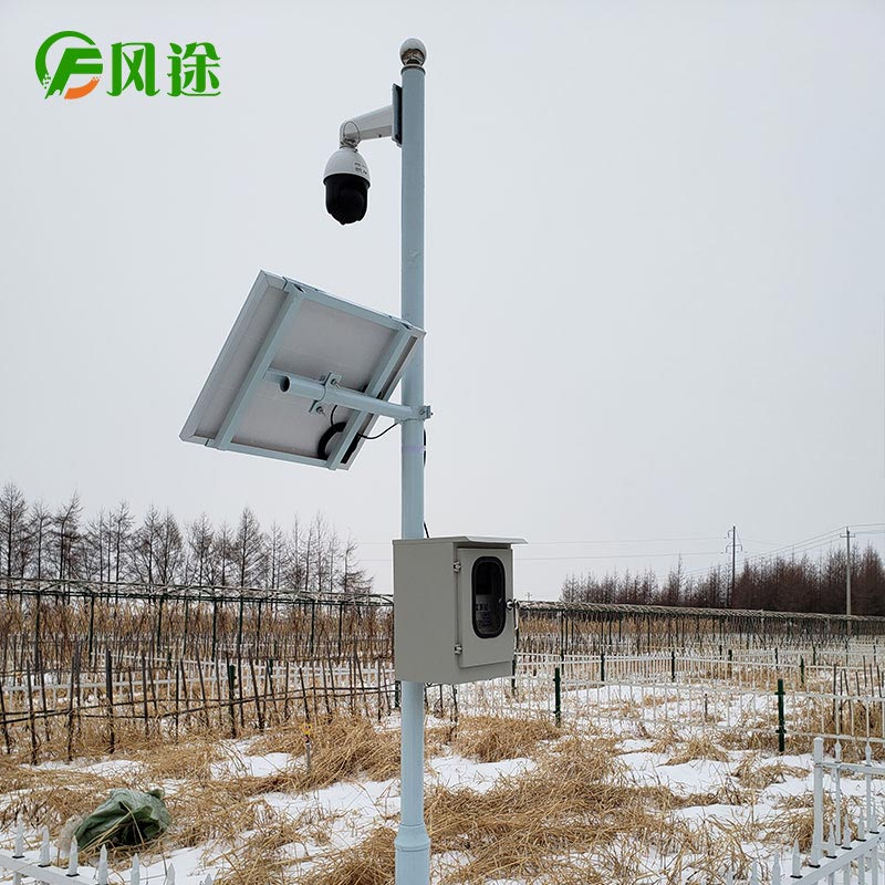 土壤墑情自動監測儀在玉米澆水中發揮的作用
